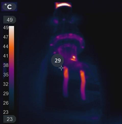 Imagem térmica de um conjunto acústico de solda por ultrassom de 20 kHz em operação.